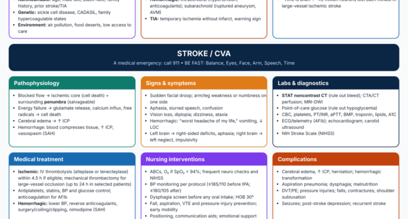 stroke-cva-concept-map